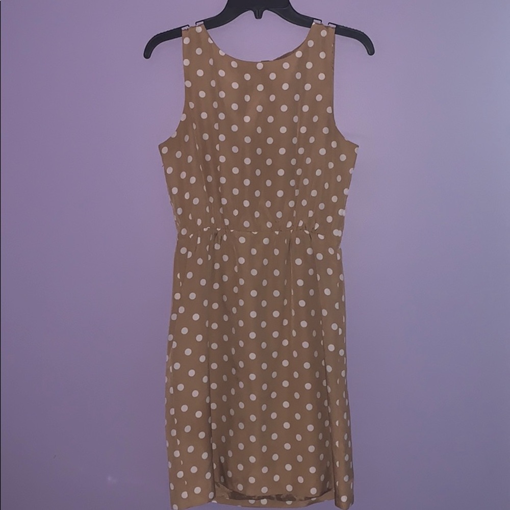 J Crew Caramel w/White Polkadots Dress Midi (4)